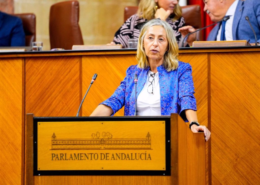 The Minister of Health defends the "improvement process" of Andalusian healthcare and the "honest management" of "public money"